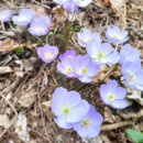 도덕산공원(야외음악당) 이미지