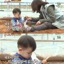 태오농장 이미지