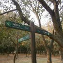 개화산 약사사 삼거리 이미지