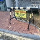 밸라스킨앤바디