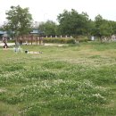 황룡어린이공원 이미지