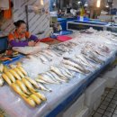 조씨상회 이미지