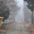 사곡중학교