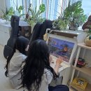 일반인우쿨렐레 | 마산동보컬학원 일주일 중 가장 설레는 순간 인생뮤직학원 후기