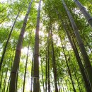 중구자전거문화센터 이미지