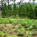 일구농장 이미지