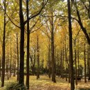 희망대공원길 이미지