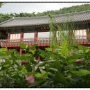 화순읍 경찰서 사거리 이미지