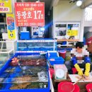 대양낚시 - 북구 원연암2길 97 | 속초배낚시 [동광호배낚시] 배낚시하고 회 먹고 온 가자미낚시 솔직후기&꿀팁