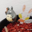 GS25 삼성역점 이미지