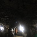 금동백숙 이미지