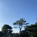 도그버디청주점 | [그랜드CC] 청주지역 전통있는 한국최초 스코틀랜드 링크스 스타일의 그랜드CC 후기와 주변 맛집