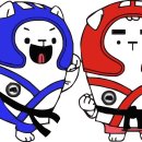 국기태권도 이미지