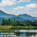 로얄맨션2차 이미지
