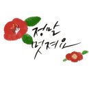 창원신월초등학교 이미지