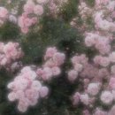 4444 | 내가 정말 멋진 곳을 향해 가고 있다고 말해줘