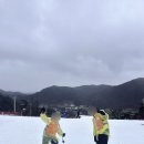 세븐일레븐 지산점 | 지산리조트에서 아이와 함께 하는 스키 입문, 로렌포리어린이스키학교 강습 후기&amp;자격증 취득