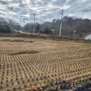 압해공인중개사사무소 이미지