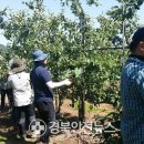 우보면사무소 이미지