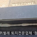청춘청소방역 이미지