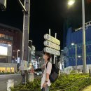 네스테이 이미지