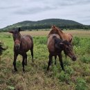 근성목장 이미지