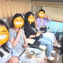 일로-1 | 일로투어 고성 라벤더 축제 당일치기 여행 후기 1
