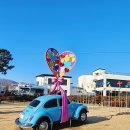 참새의상실 | 충주 중앙탑사적공원 탄금호 무지개다리 꼭! 가볼만한곳 3곳 무료 / 사진찍기 좋은곳
