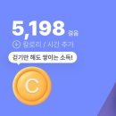 쌍둥이야채가게