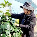 김복희농장 이미지