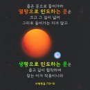 #하나님보다사랑하는건우상그단체들 이미지