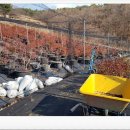 일철농장 이미지