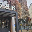 아이비586 이미지