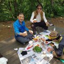 이채쇼핑몰 이미지