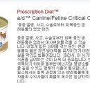 25시 종합동물병원 이미지