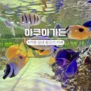 가든 | 가평 아쿠아가든 후기｜아이랑 가기 좋은 실내 물고기 카페