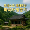 마곡사 주차장1 이미지