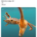 서부앵글 | [8월 통영여행] 무계획통영여행기