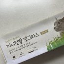 발아 | 다이소 캣그라스 키우기 | 귀리씨앗 발아 후기와 키우는 방법