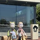 제주 신상 핫플 돌코리숲 후기 아이와 가볼만한곳 서귀포 안덕