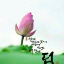 마음이따뜻한사람들 Daum카페