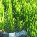 우리병원 앞 이미지