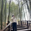죽순농원식당 | [전남/담양] 1박 2일 겨울 담양 여행❄️🎍