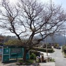 덕리 마을회관 이미지