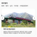 동태백로 | [강원도] 5월의 강릉 1일차 - 백두대간협곡열차(V-train) 1호차 후기, 좌석추천