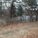 소산농장 Daum카페