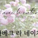 네이처가드너 이미지