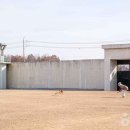 미륵산 자연학교 | [전라북도 익산시] 익산교도소세트장 - 전 견종 가능 · 이동장/유모차 사용 · 맹견 입마개 · 목줄 착용