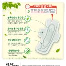 숲속이야기 이미지