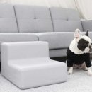 퍼피트리 이미지